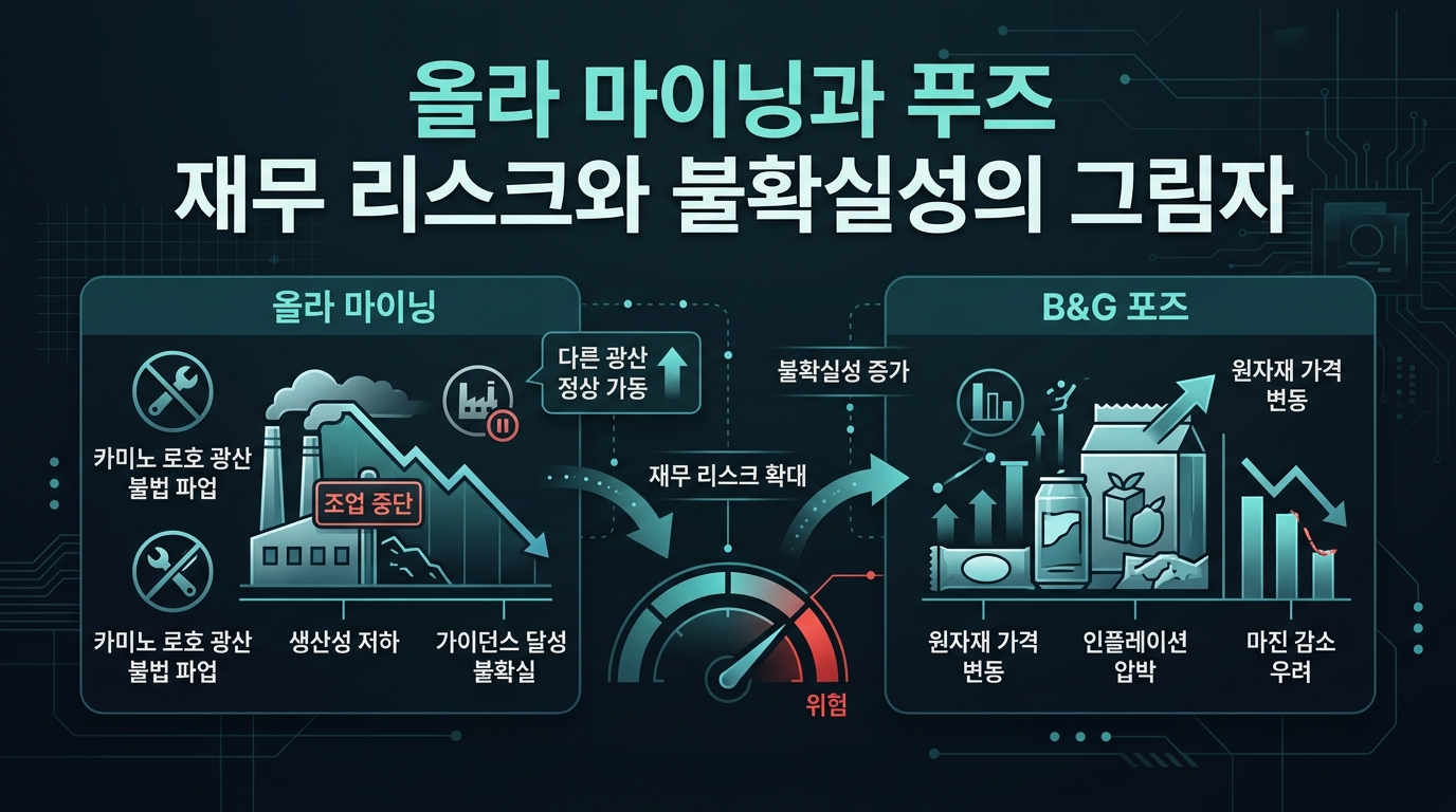 올라 마이닝과 B&G 푸즈, 재무 리스크와 불확실성의 그림자