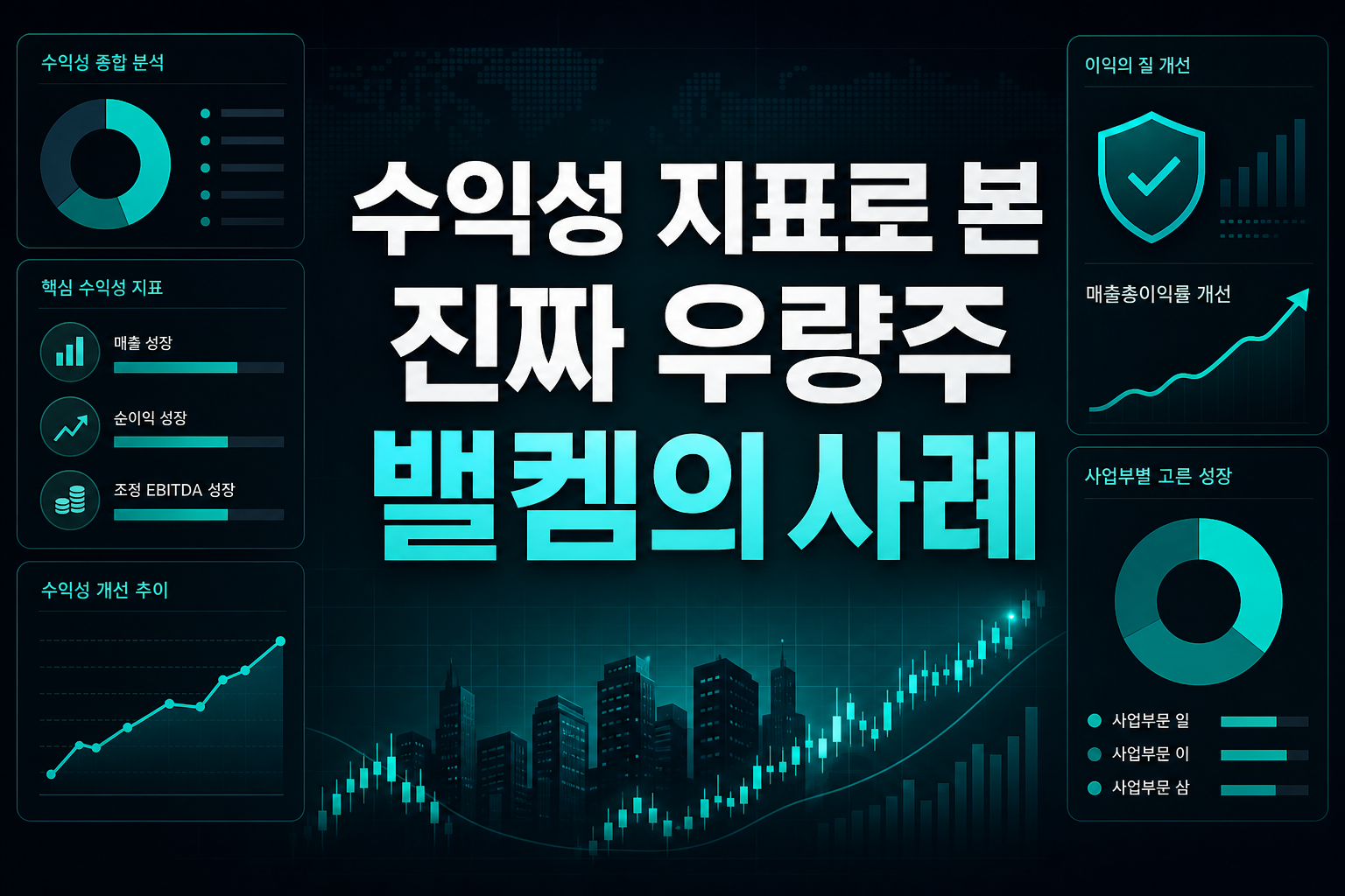 수익성 지표로 본 진짜 우량주, 밸켐의 사례