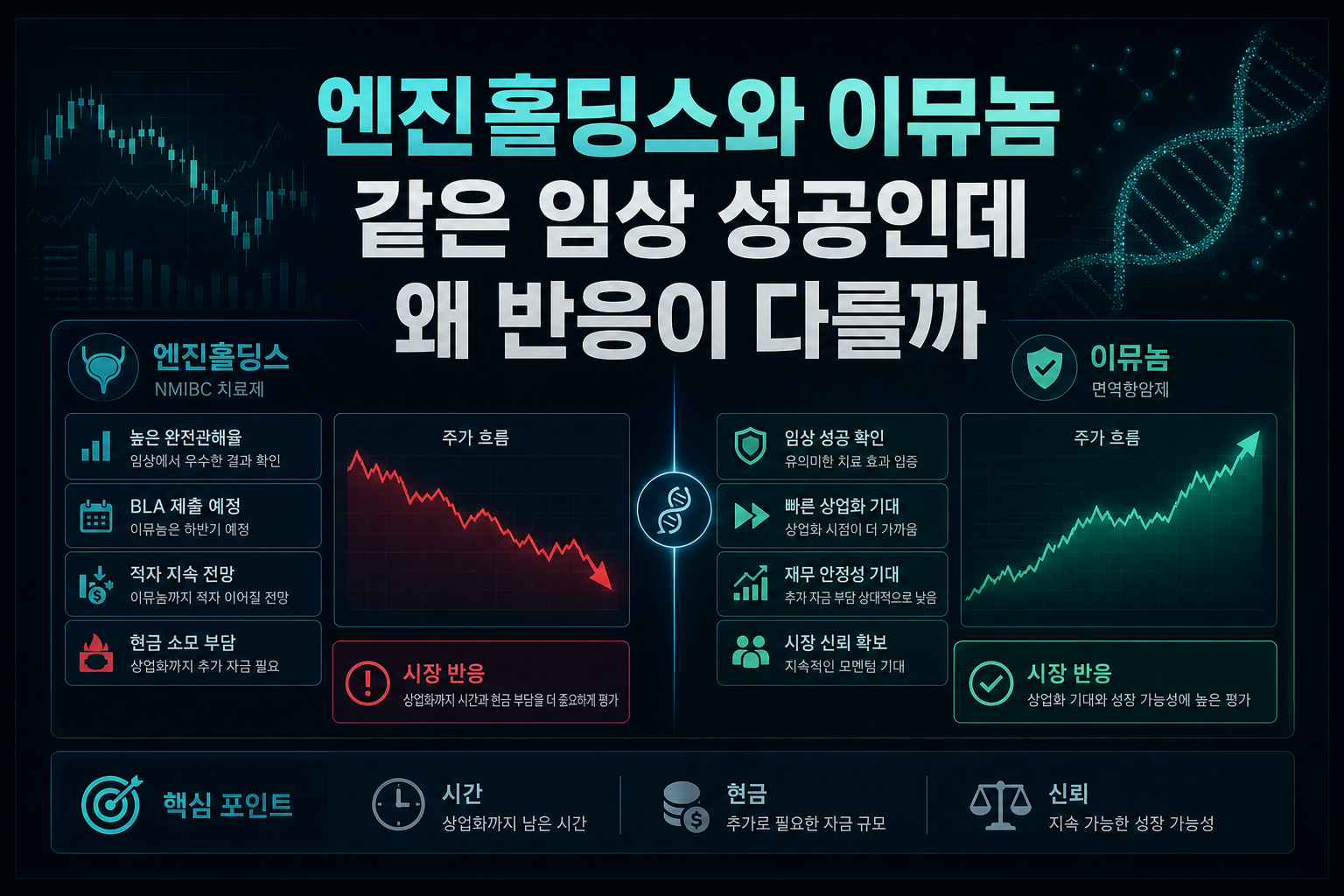 엔진홀딩스와 이뮤놈, 같은 임상 성공인데 왜 반응이 다를까