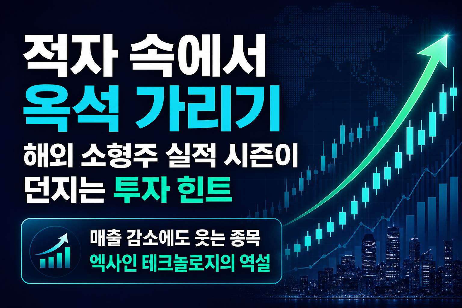 적자 속에서 옥석 가리기: 해외 소형주 실적 시즌이 던지는 투자 힌트
