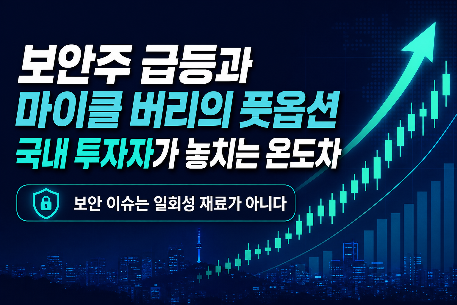 보안주 급등과 마이클 버리의 풋옵션, 국내 투자자가 놓치는 온도차