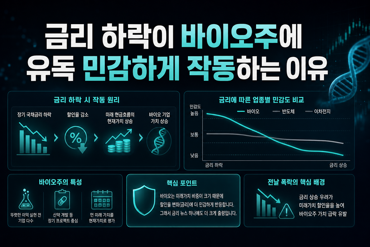 금리 하락이 바이오주에 유독 민감하게 작동하는 이유