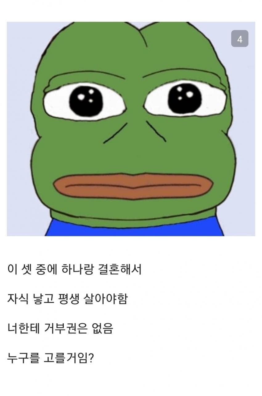 1775102236.jpg