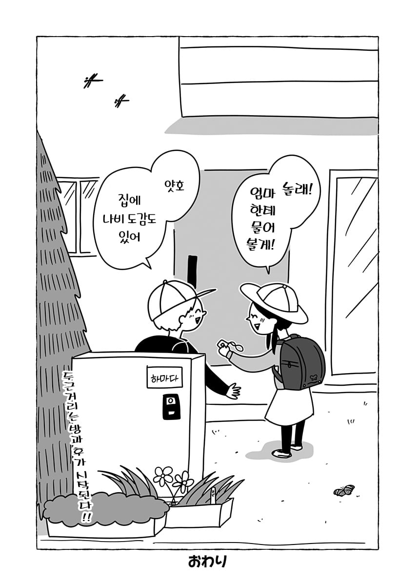 47.jpg