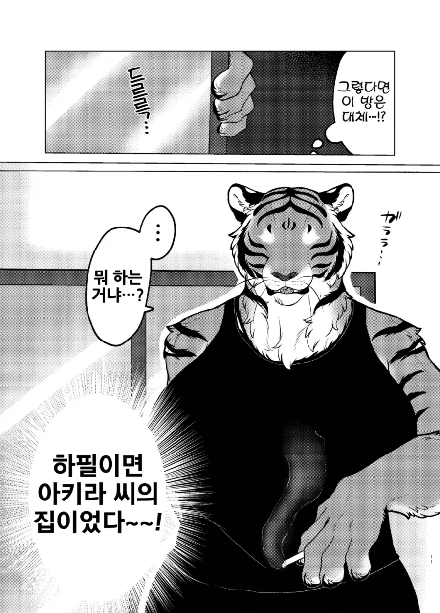 19d1ab77cc659ae11.webp