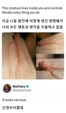 6157.webp 몸에 기생하는. 거대한 생명체