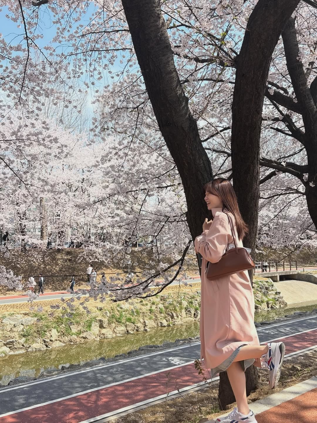 벚꽃구경 실컷🌸.jpg