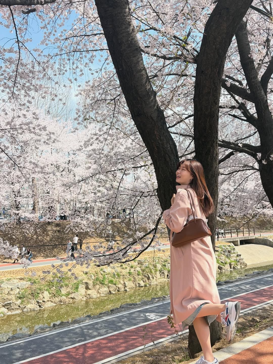 벚꽃구경 실컷🌸-6.jpg