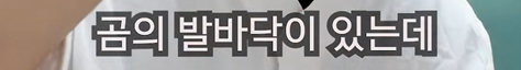 20260405205529.png