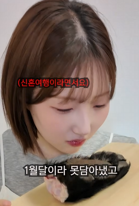 20260405205631.png