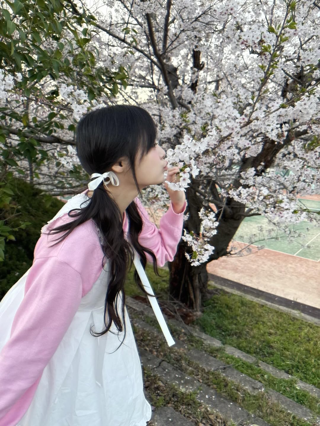 siyo.co.kr_20260405_p_3868592900955934727_1_3868592801416722279.jpg
