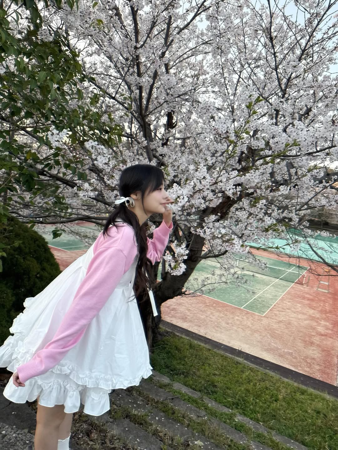siyo.co.kr_20260405_p_3868592900955934727_5_3868592831447899135.jpg