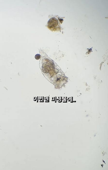 스크린샷 2026-04-06 223154.png