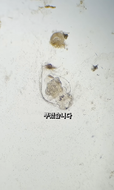 스크린샷 2026-04-06 223239.png