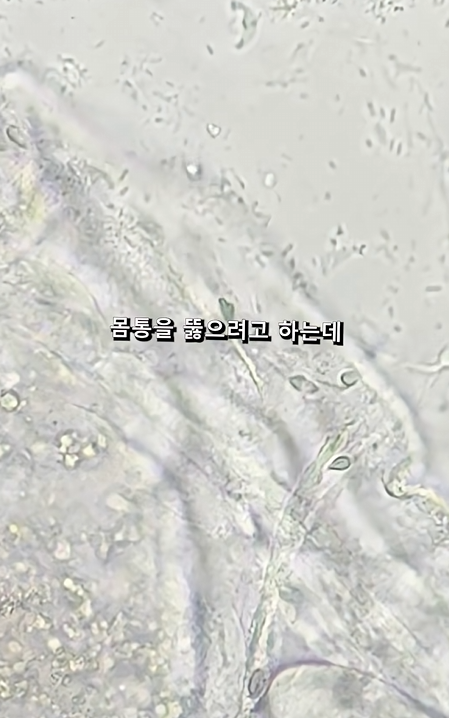 스크린샷 2026-04-06 223701.png
