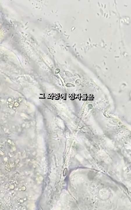 스크린샷 2026-04-06 223621.png