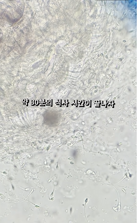 스크린샷 2026-04-06 223743.png