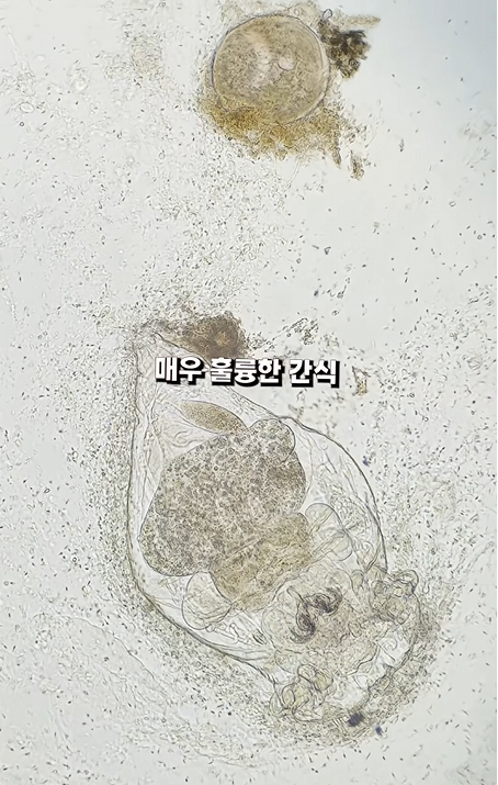 스크린샷 2026-04-06 223437.png