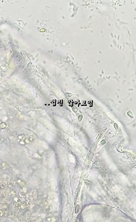 스크린샷 2026-04-06 223720.png