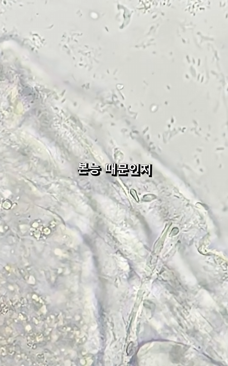 스크린샷 2026-04-06 223642.png
