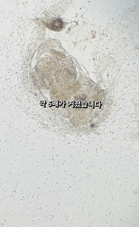 스크린샷 2026-04-06 223833.png