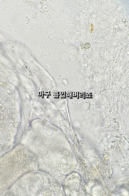 스크린샷 2026-04-06 223520.png