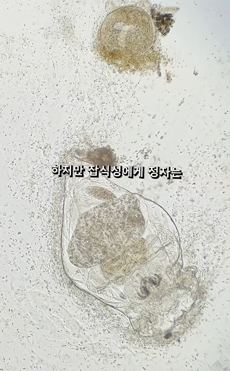 스크린샷 2026-04-06 223355.png