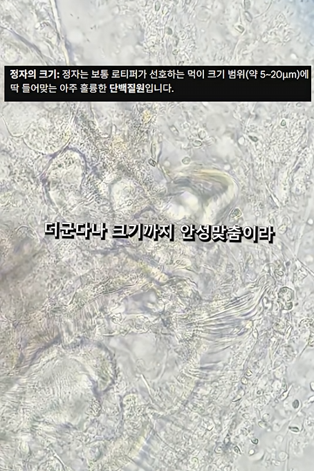 스크린샷 2026-04-06 223457.png