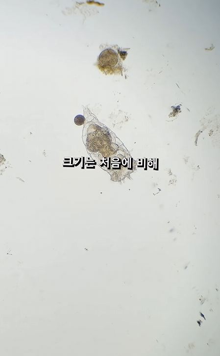 스크린샷 2026-04-06 223813.png
