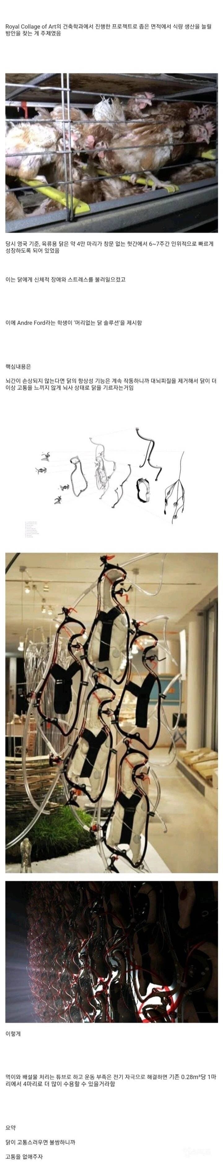 1775524751.jpg