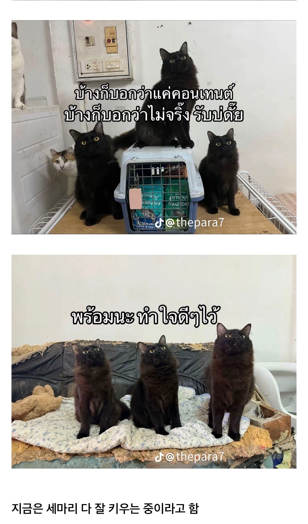 IMG_8557.jpeg