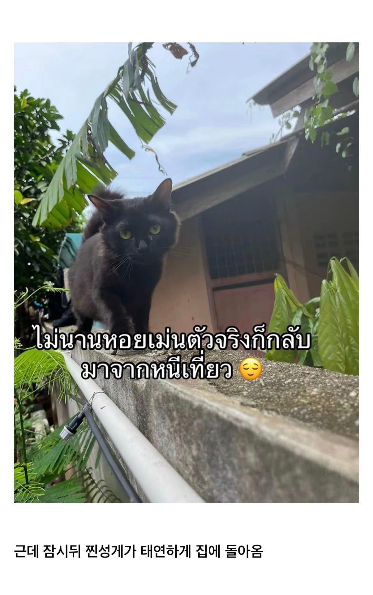 IMG_8553.jpeg