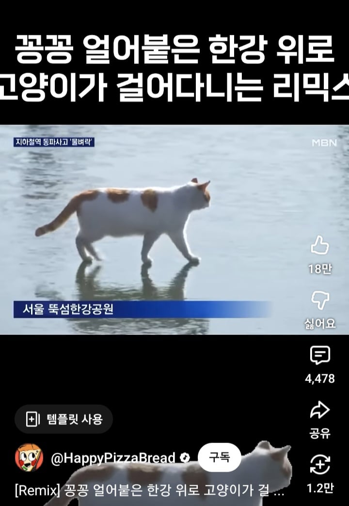 Screenshot_20260409_120158_YouTube.jpg