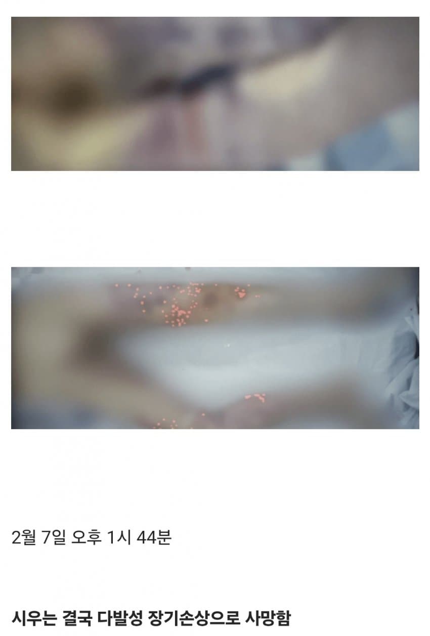 시우23.jpg