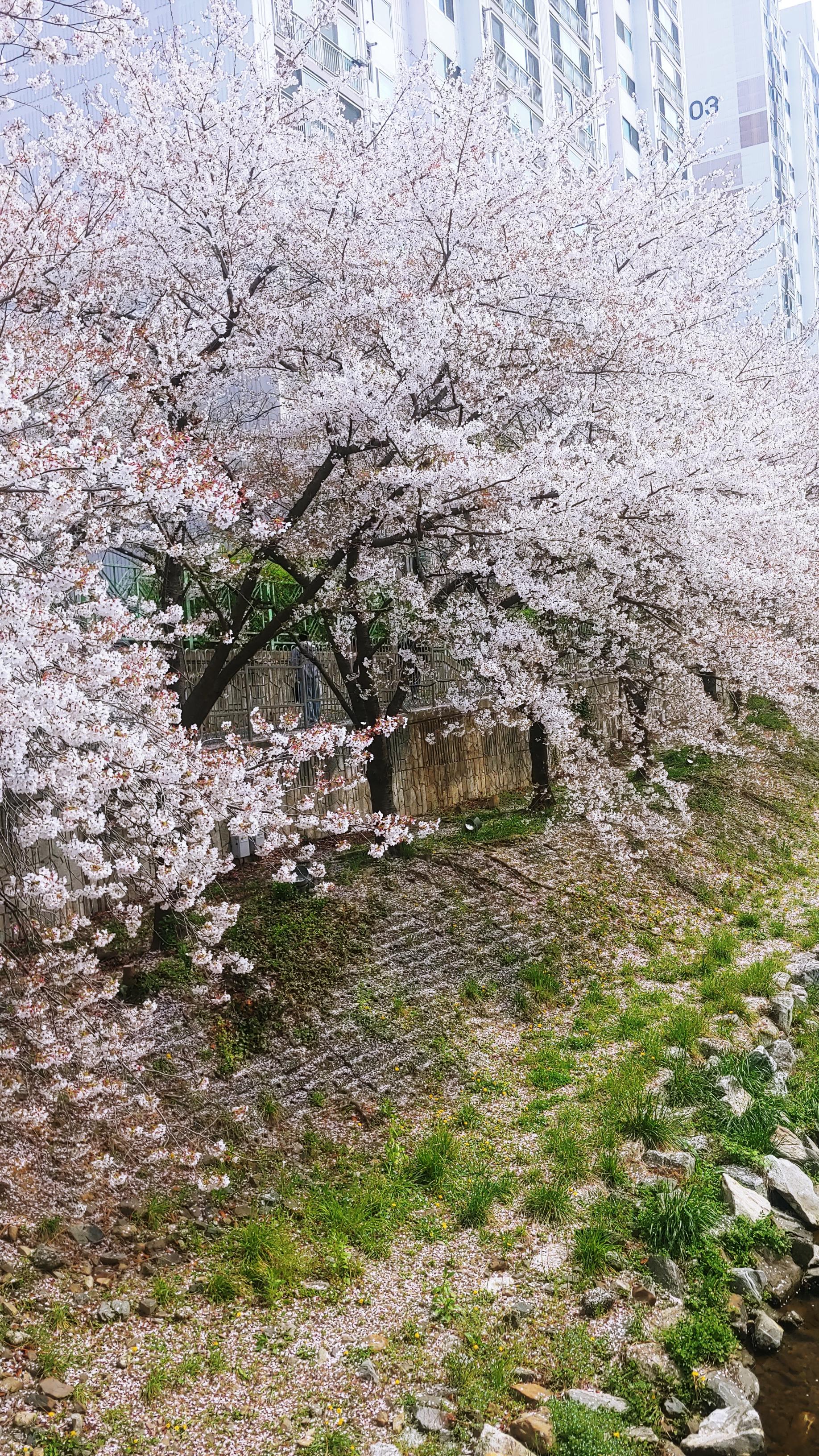 20260405_141841_HDR.jpg
