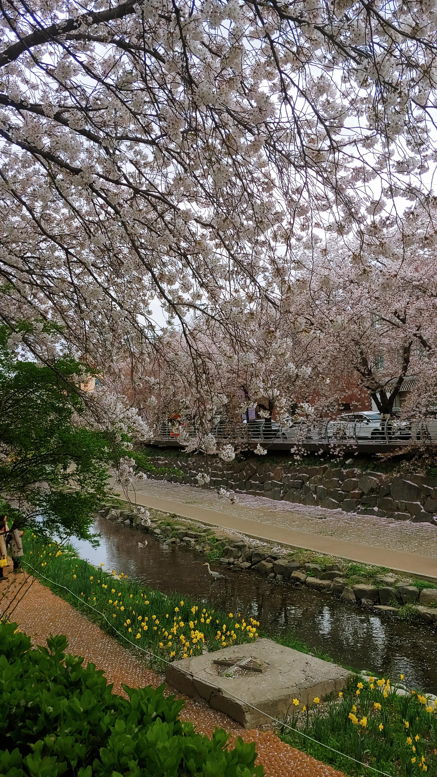 20260406_131423_HDR.jpg