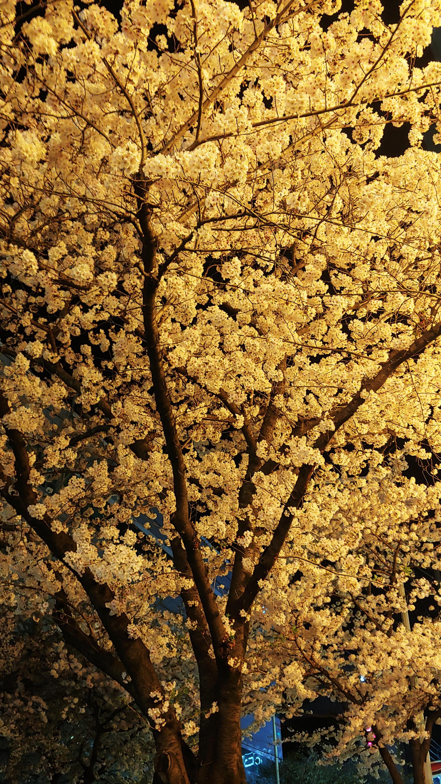 20260405_200109_HDR.jpg