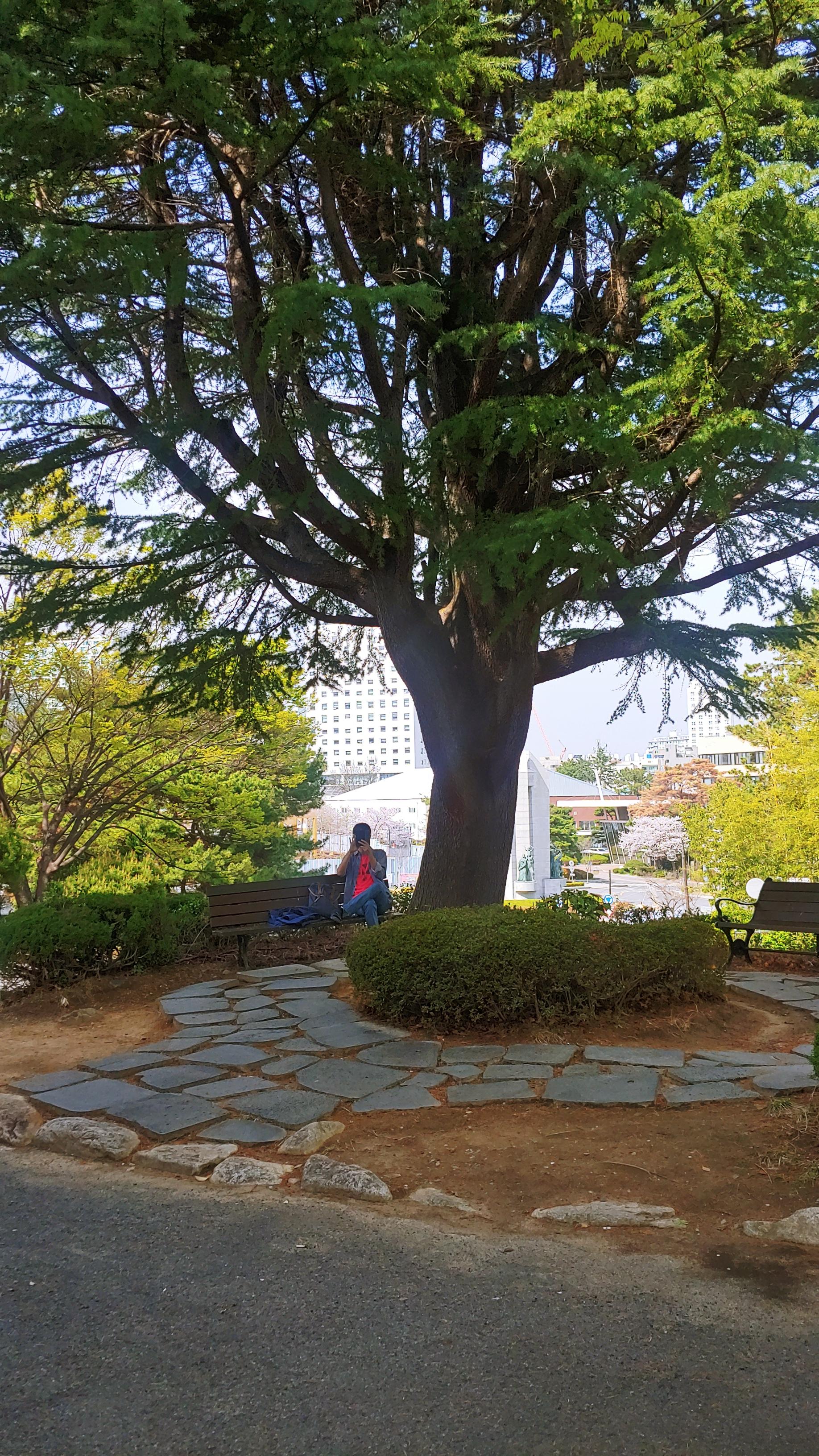 20260405_145107_HDR.jpg
