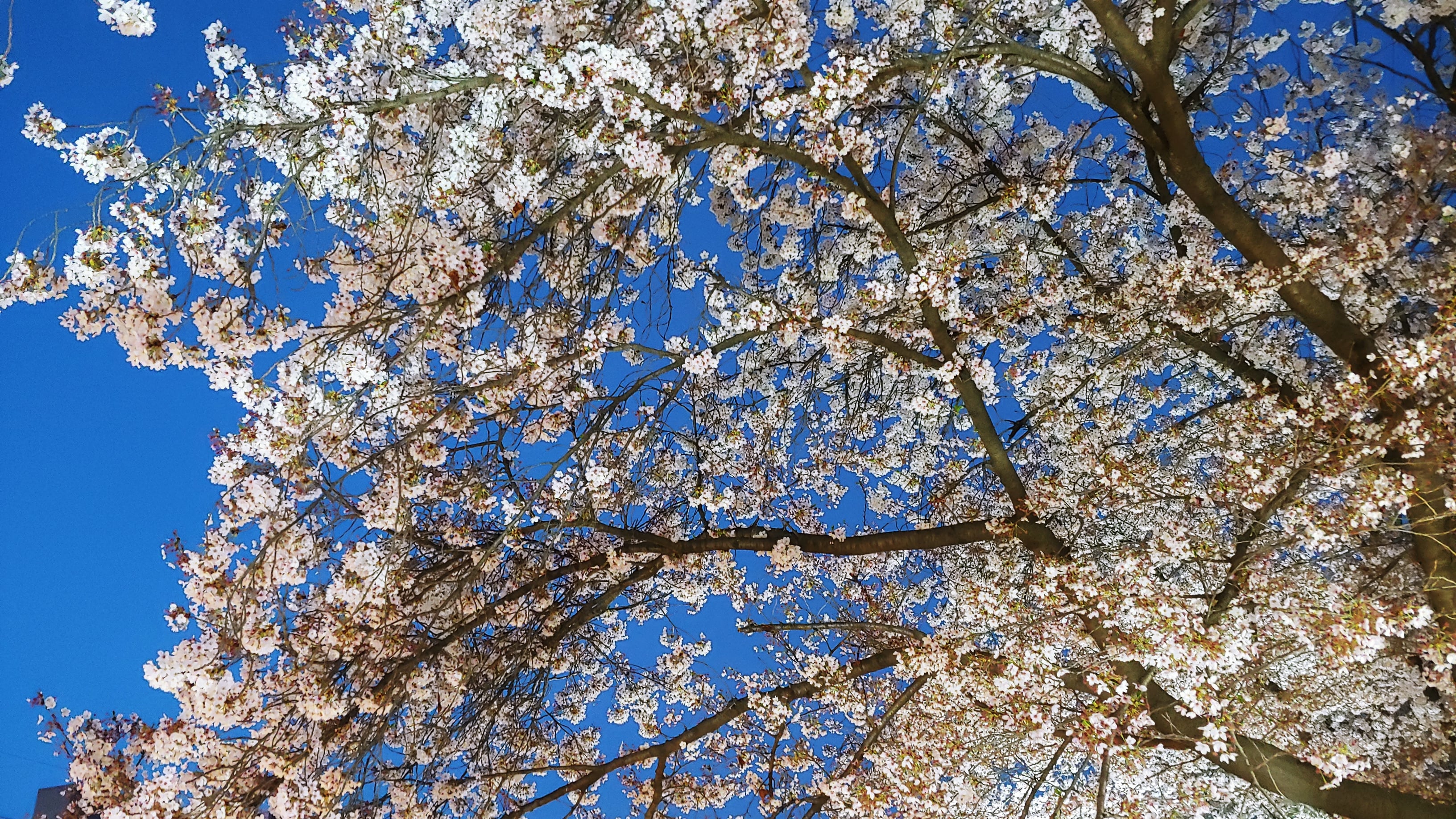 20260405_190901_HDR.jpg