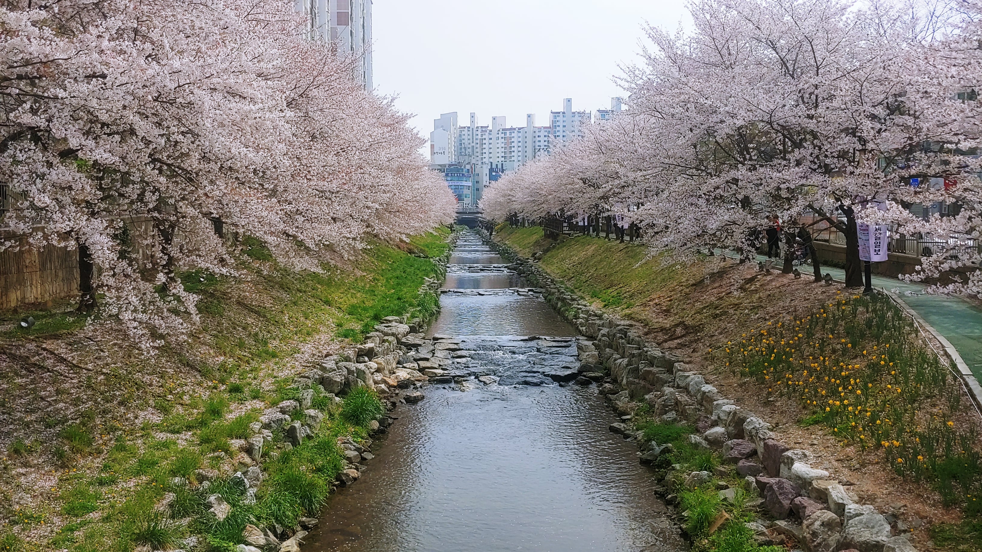 20260405_141836_HDR.jpg