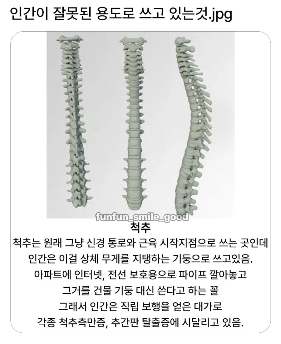 1.webp