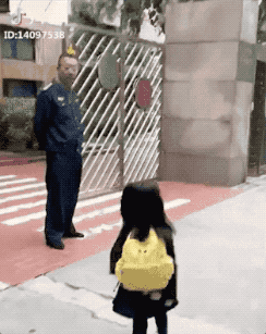 3542387.gif
