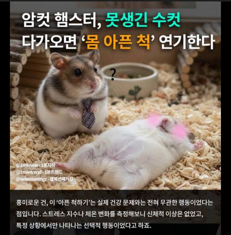 93b2295709d5ad00a0301b9c81ff3022.png