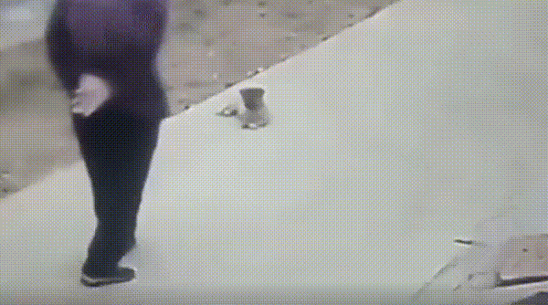 01.gif