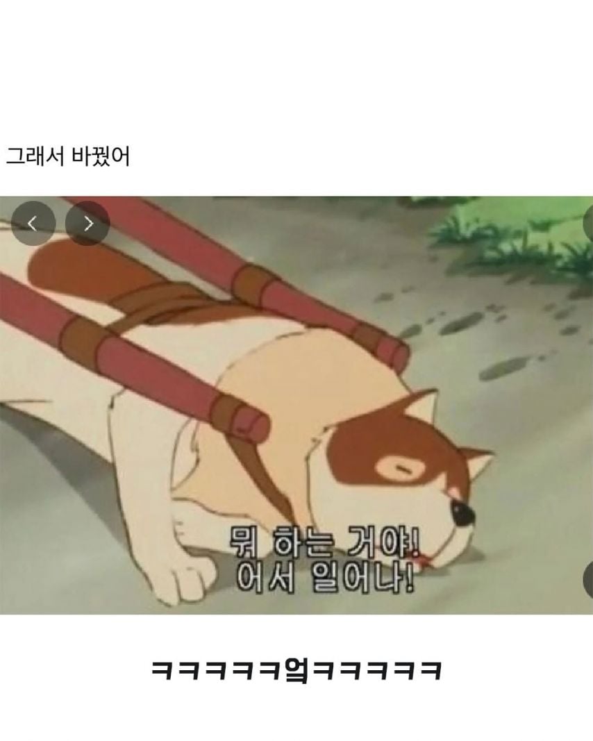 1995116530_Ewe63qYM_vS1A8GHPtWDyFBud.jpg