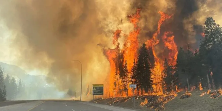 image.png 여성 소방관 컨퍼런스 훈련 중 대형화재, 주민 대피