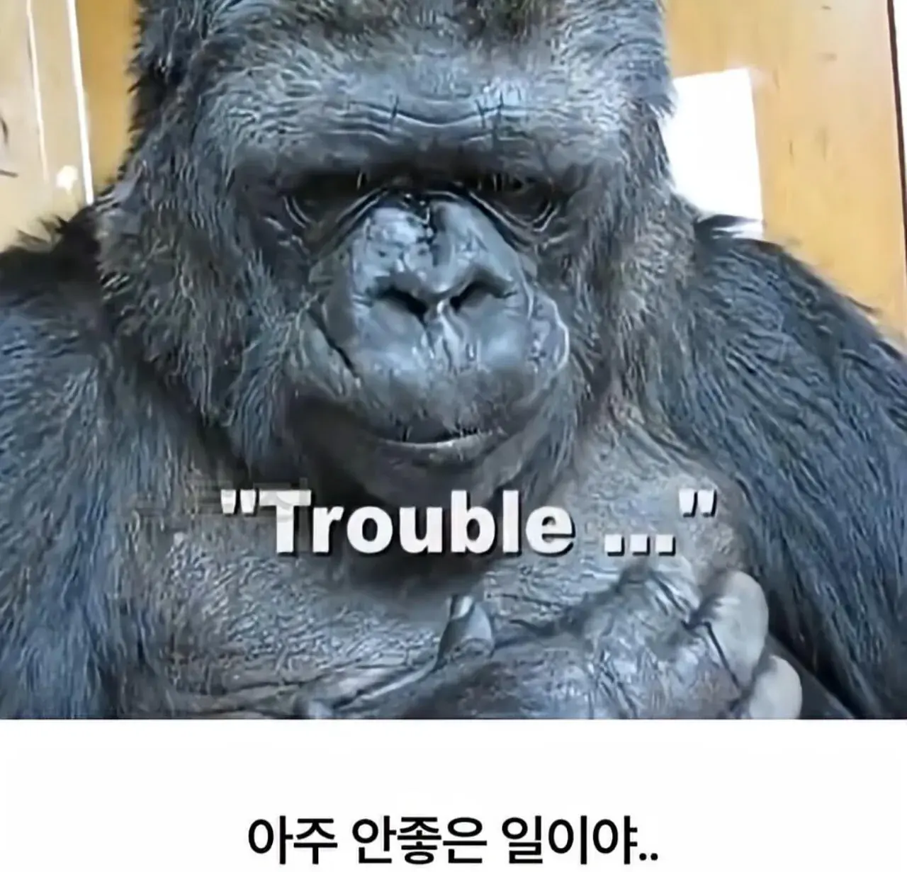 KUpun-12.webp
