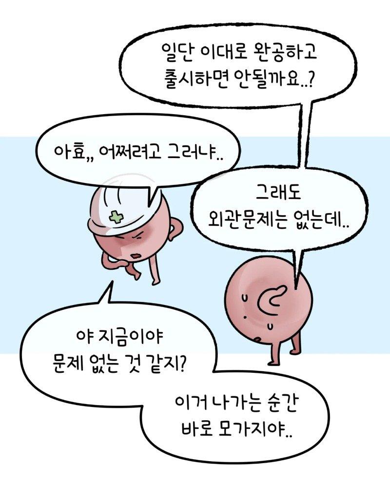 06.jpg