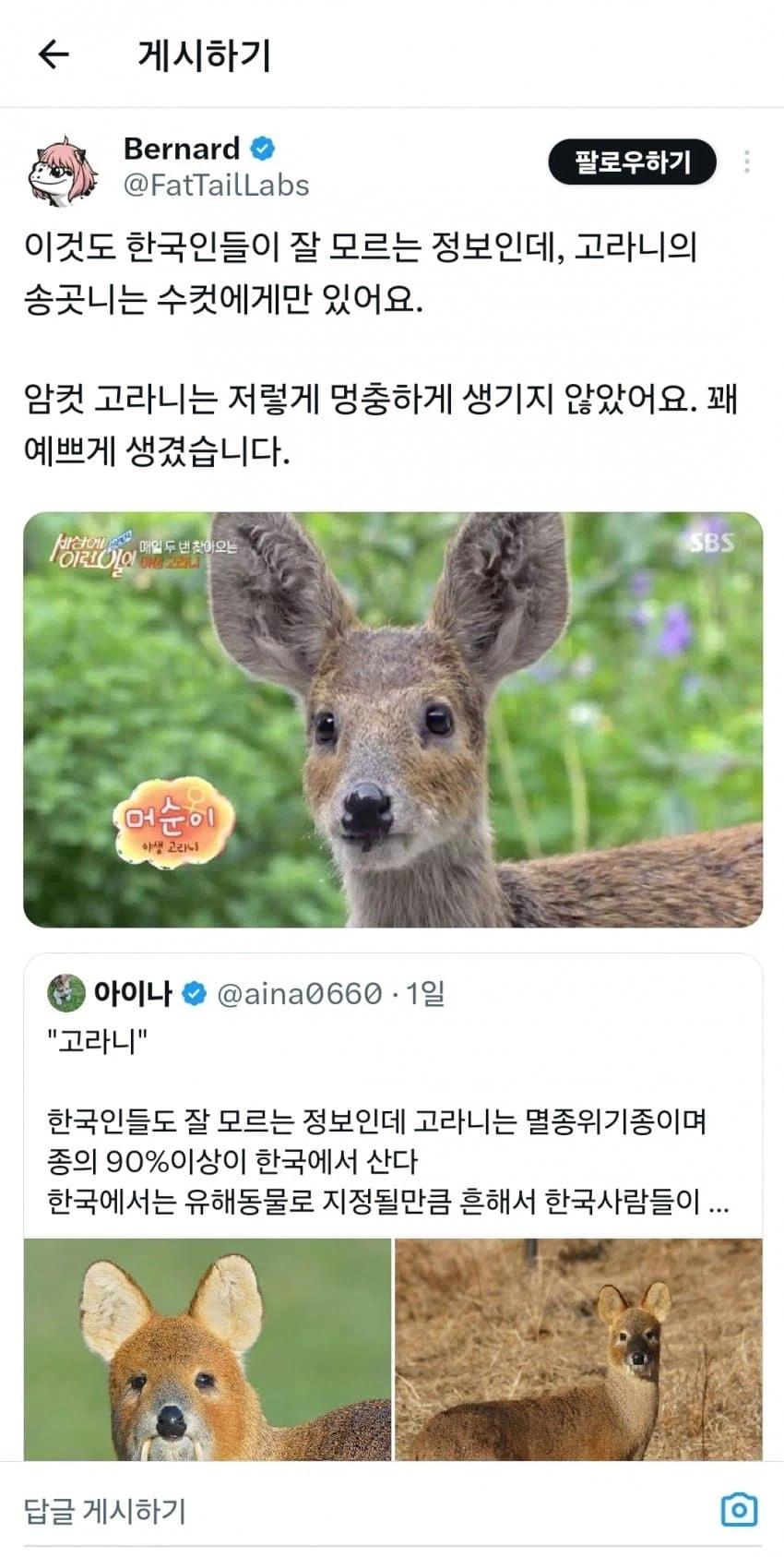 19d9f3d992457a888.webp