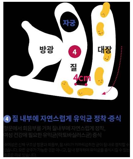 질유산균_이동.png